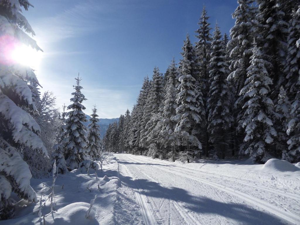 Ferienhaus Abendstille Ramsau am Dachstein Kültér fotó